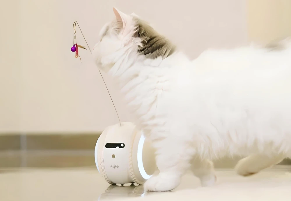 best home camera for pets
