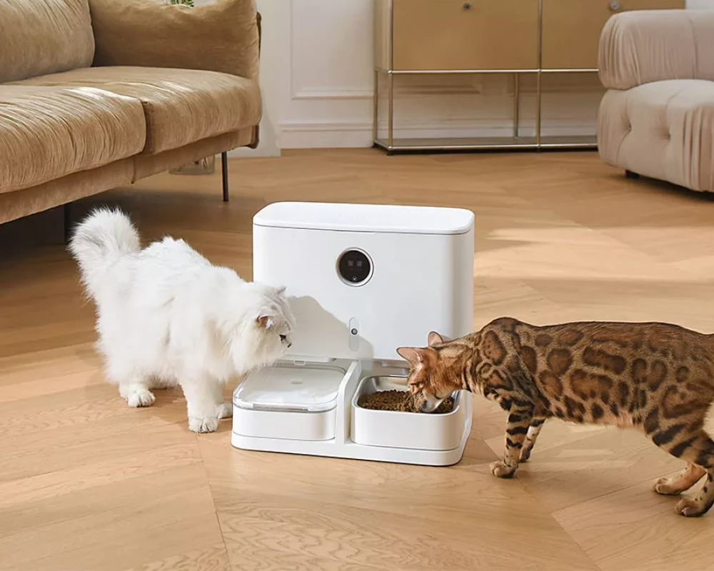 automatic pet feeder and water